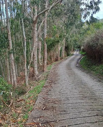 Casa Del Cura Molleda