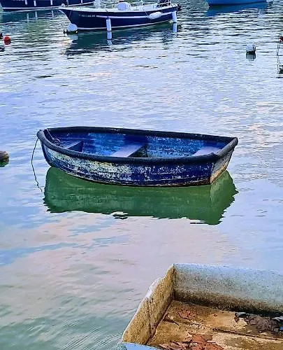 Casa Del Cura * Molleda