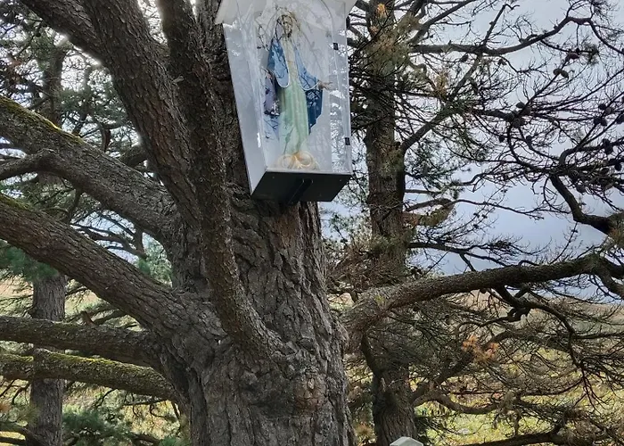 Maison d'hôtes Casa Del Cura *